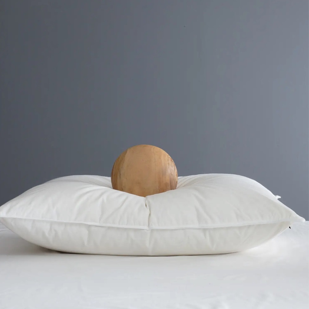 NWOT QUINCE Premium Down Alternative Pillow Medium Standard 3807